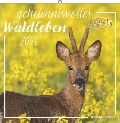 Geheimnisvolles Waldleben 2026 - Broschürenkalender 30x30 cm (30x60 geöffnet) - Kalender mit Platz für Notizen - Forest Animals - Bildkalender - Wandkalender