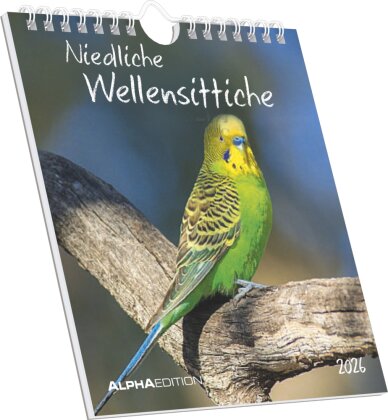 Niedliche Wellensittiche 2026 - Postkartenkalender 16x17 cm - Budgies - zum Aufstellen oder Aufhängen - Monatskalendarium - Gadget - Mitbringsel - Alpha Edition