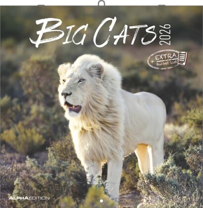 Big Cats 2026 - Broschürenkalender 30x30 cm (30x60 geöffnet) - Kalender mit Platz für Notizen - Big Cats - Bildkalender - Wandplaner - Alpha Edition