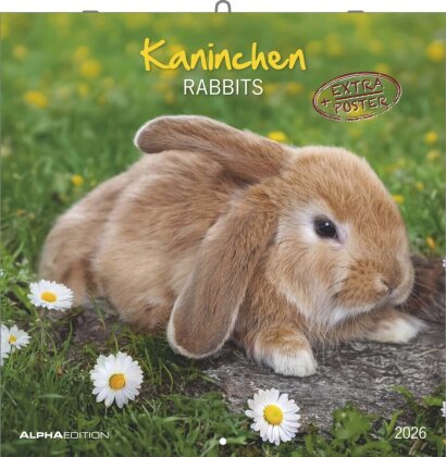 Alpha Edition - Kaninchen Kalender 2026 - 30x30 cm - Bildkalender für Tierfreunde - Niedlicher Wandkalender mit süßen Kaninchenmotiven - Platz für Notizen - Inkl. Poster - FSC-zertifiziert