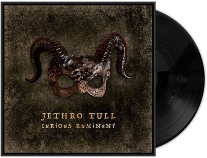 Jethro Tull - Curious Ruminant (Gatefold, LP)