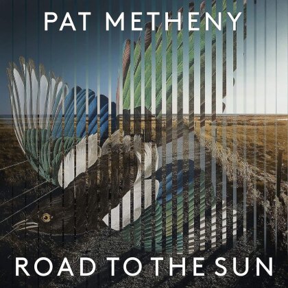 Pat Metheny, Arvo Pärt (*1935), Jason Vieaux & Los Angeles Guitar Quartet - Road to the Sun (2 LPs)