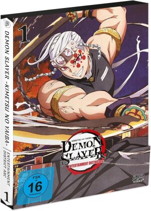 Demon Slayer: Kimetsu no Yaiba - Entertainment District Arc - Vol. 1 (2 DVDs)