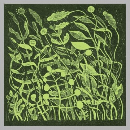 Kirk Barley - LUX (LP)