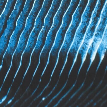 Monolake - Gravity (2025 Reissue, Field Records, 2 LPs)
