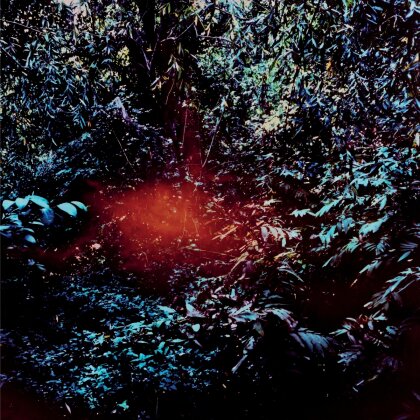 Monte Mai - Tropicalpino (LP)