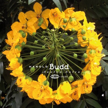 Harold Budd - Avalon Sutra (2025 Reissue, Darla Records, Limited Edition, 2 LPs + CD)