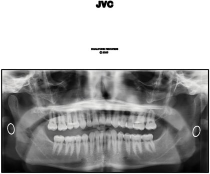 Jack Van Cleaf - Jvc (LP)