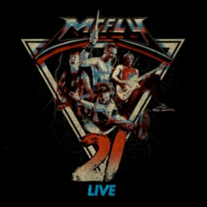 McFly - 21 Live (LP)