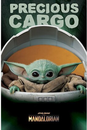 Star Wars - The Mandalorian Precious Cargo Poster