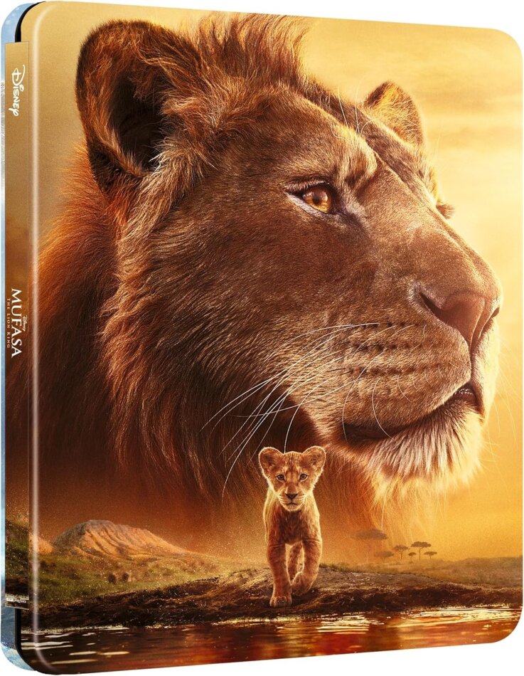 Mufasa The Lion Lion King Movie Streaming Free The Lion King II