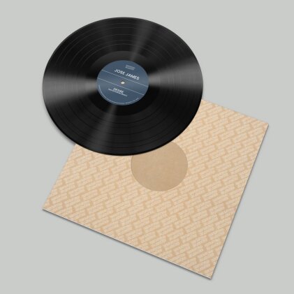 Ben Westbeech & Jose James - Brownswood Remix Editions 005 (RSD 2025, LP)