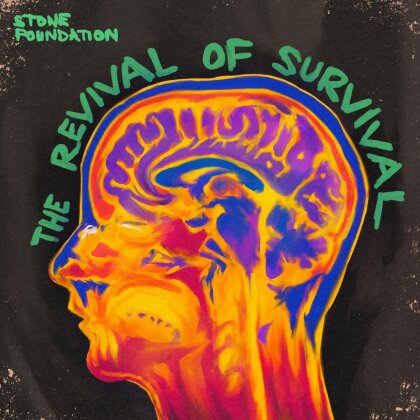 Stone Foundation - The Revival Of Survival (LP)