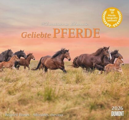Geliebte Pferde 2026 - DUMONT-Wandkalender - Pferdefotografie von Christiane Slawik Format - 38,0 x 35,5 cm