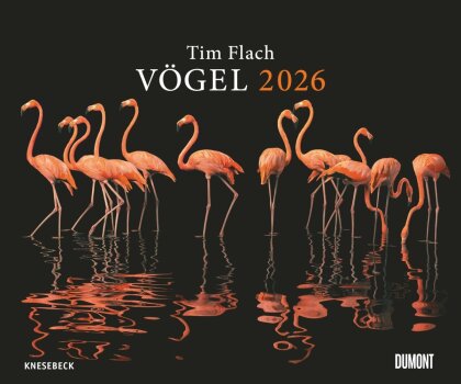 Tim Flach: Vögel 2026 - Posterkalender von DUMONT- Vogel-Porträts von Tim Flach - Poster-Format 50 x 70 cm
