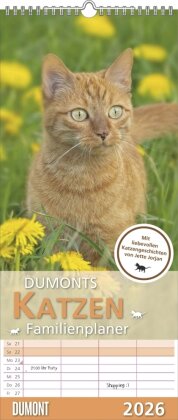 Dumonts Katzen Kalender - Familienplaner im Format 19,5 x 45