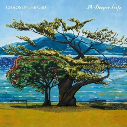 Chaos In The CBD - Deeper Life (140 Gramm, 2 LP)