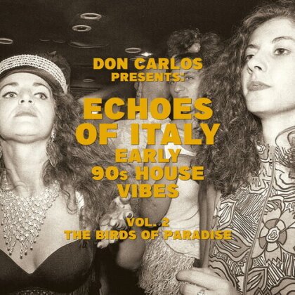 Don Carlos - Echoes Of Italy: Early 90'S House Vibes Vol. 2 The (2 LP)