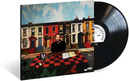 Brandon Woody - For The Love Of It All (LP)