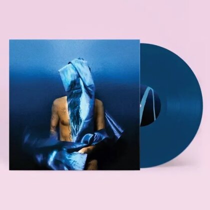 Devendra Banhart - Flying Wig (LP)