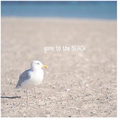 Möwe Gone Beach Postkarte