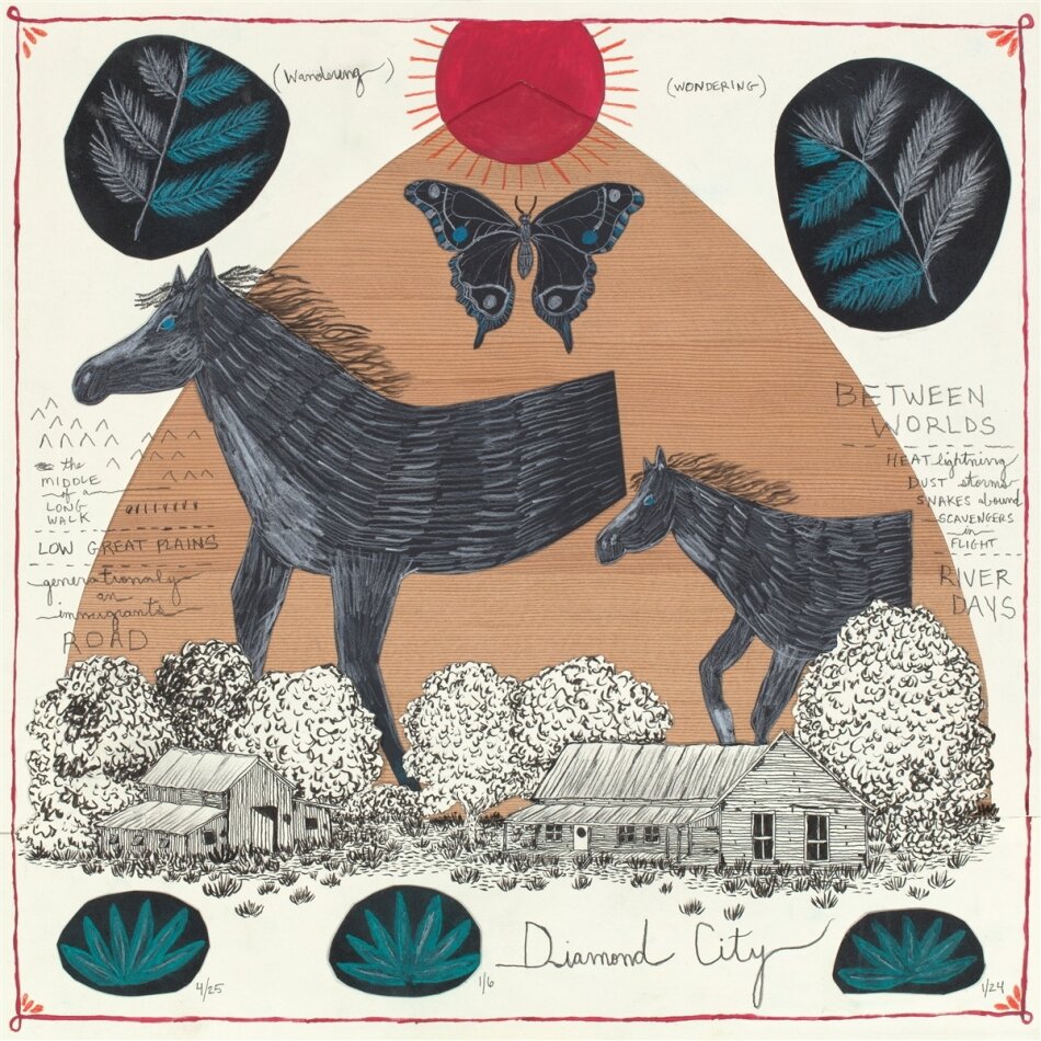 Will Johnson - Diamond City (Édition Limitée, Wintergreen Vinyl, LP)