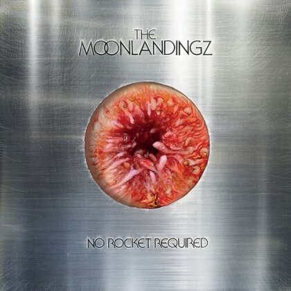 Moonlandingz (Fat White Family / Eccentronic Research Council) - No Rocket Required