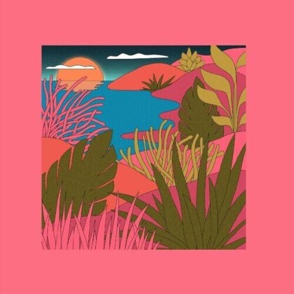 Coyote & Peaking Lights - Love Letters (12" Maxi)