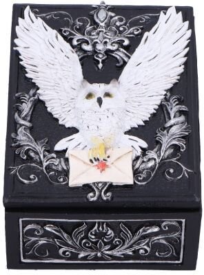 Nemesis Now - Boîte "Owl Messenger Box" 13.5cm