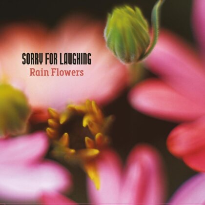 Sorry For Laughing - Rain Flowers (2 CDs)