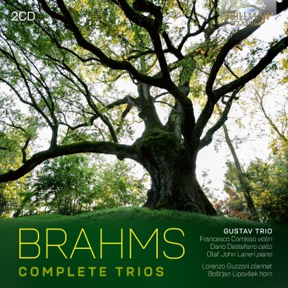 Gustav Trio, Johannes Brahms (1833-1897), Lorenzo Guzzoni, Bostjan Lipovsek, … - Complete Trios (2 CD)