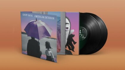 Gruff Rhys - American Interior (2025 Reissue, Rough Trade, 2 LPs)