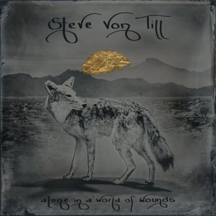 Steve Von Till (Neurosis) - Alone In A World Of Wounds