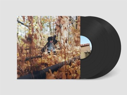 Billy Woods - Golliwog (2 LPs)