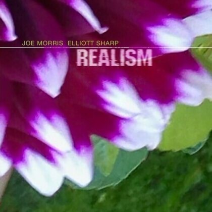 Joe Morris & Elliott Sharp - Realism