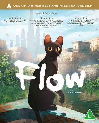 Flow (2024)