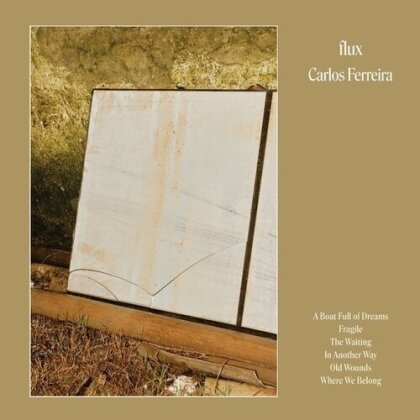 Carlos Ferreira - Flux (LP)