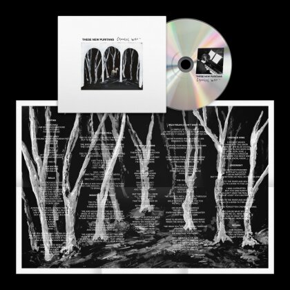 These New Puritans - Crooked Wing