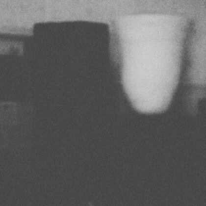 Merzbow - Prosperity Of Vice The Misfortune Of Virtue