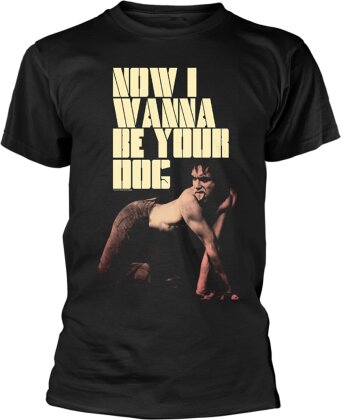 Iggy And The Stooges - Niwbyd
