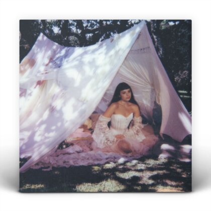 Julia Mestre - Maravilhosamente Bem (LP)