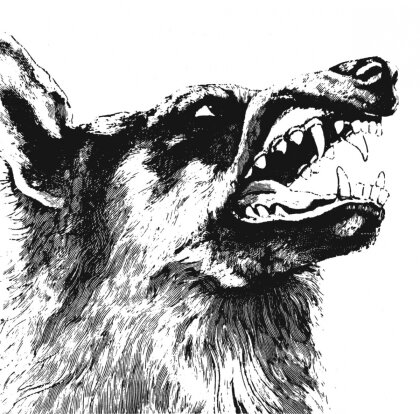 Crippled Black Phoenix - I, Vigilante (2025 Reissue, LP)