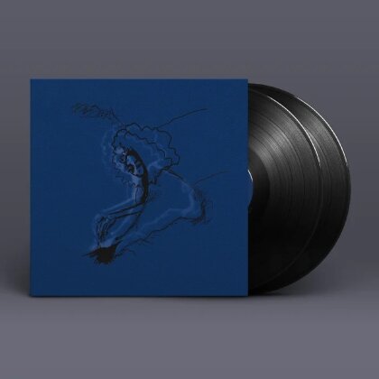 Polar Bear & Sebastian Rochford - Dim Lit (2 LPs)