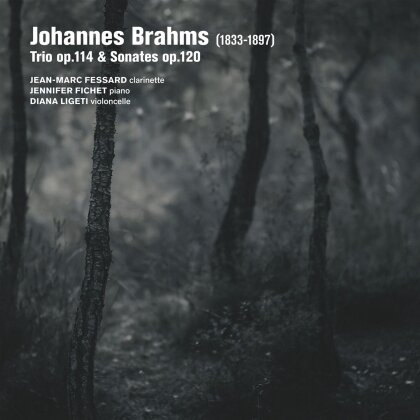 Jean-Marc Fessard, Jennifer Fichet & Johannes Brahms (1833-1897) - Trio Op. 114 Sonates Op. 120