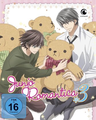 Junjo Romantica - Staffel 3 (Gesamtausgabe, 2 DVDs)