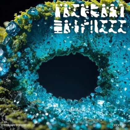 Primary Forest 03 (LP)