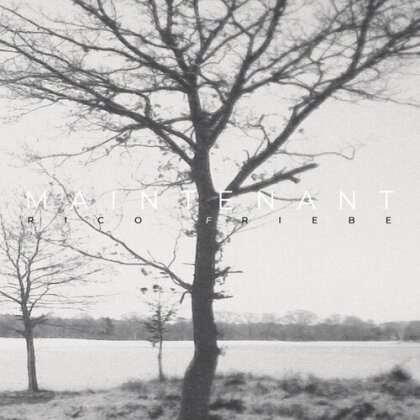 Rico Friebe - Maintenant (LP)