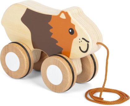 Nachziehtier Meerschweinchen