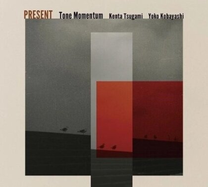 Tone Momentum - Present