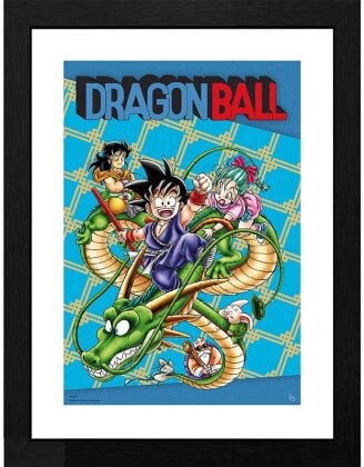 Cadre - Couverture - Dragon Ball - 45 cm